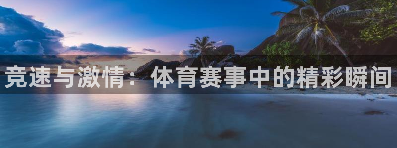 竞速与激情：体育赛事中的精彩瞬间