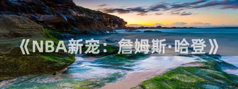 《NBA新宠：詹姆斯·哈登》