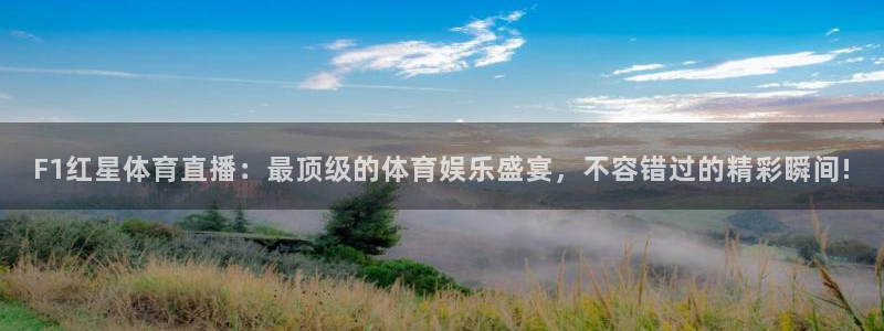 F1红星体育直播：最顶级的体育娱乐盛宴，不容错过的精彩瞬间!