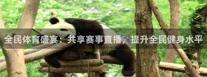 全民体育盛宴：共享赛事直播，提升全民健身水平