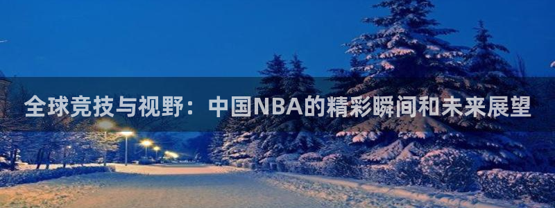 全球竞技与视野：中国NBA的精彩瞬间和未来展望