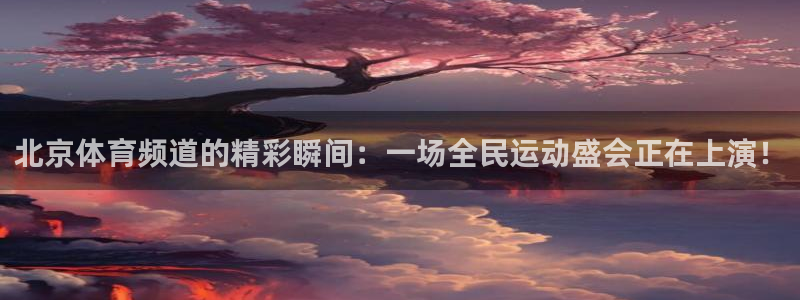 北京体育频道的精彩瞬间：一场全民运动盛会正在上演！